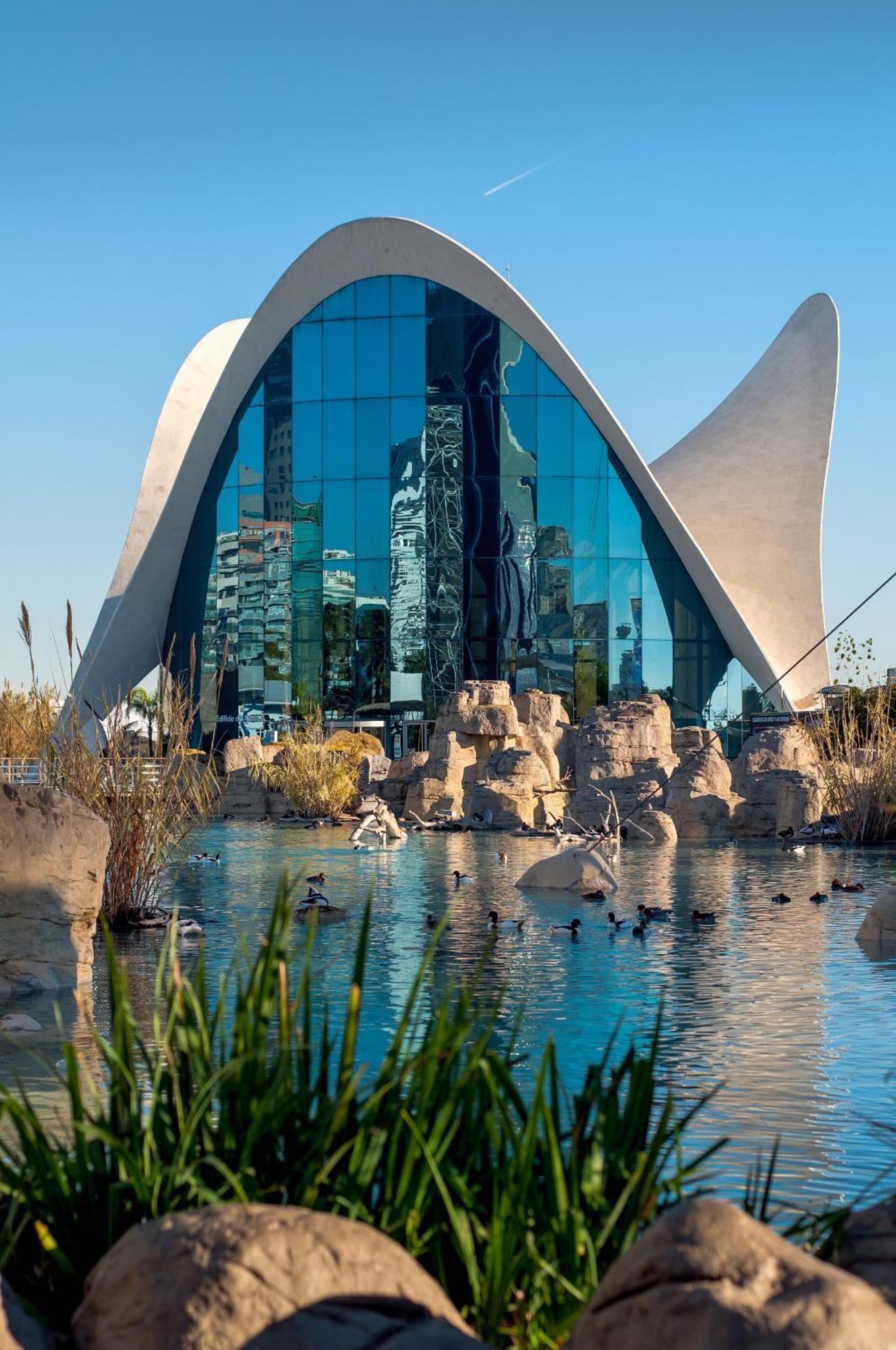 Habitacion Centrica De Lujo Gv 6 فالنسيا المظهر الخارجي الصورة